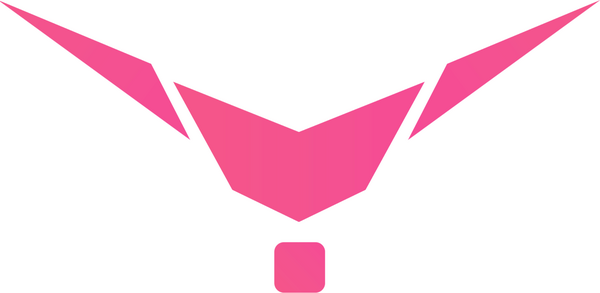 Vayu Queens of the Sky logo
